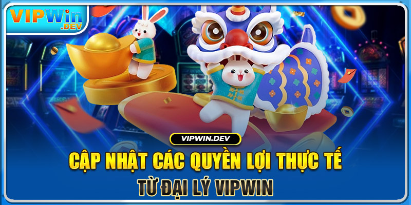 Cập nhật các quyền lợi thực tế từ đại lý KUBET 