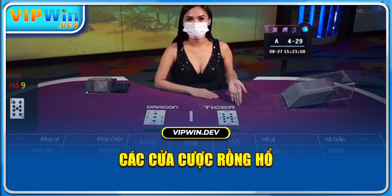 Các cửa cược Rồng Hổ