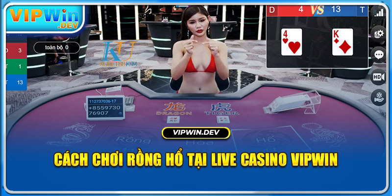 Cách chơi Rồng Hổ tại Live Casino KUBET