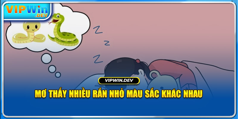 Mơ thấy nhiều rắn nhỏ màu sắc khác nhau